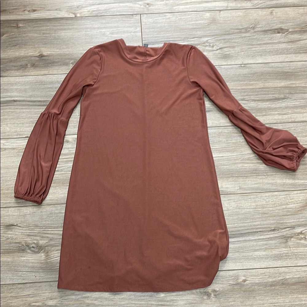 Elegant Brown Long Sleeve Dress